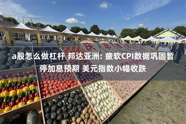 a股怎么做杠杆 邦达亚洲: 疲软CPI数据巩固暂停加息预期 美元指数小幅收跌