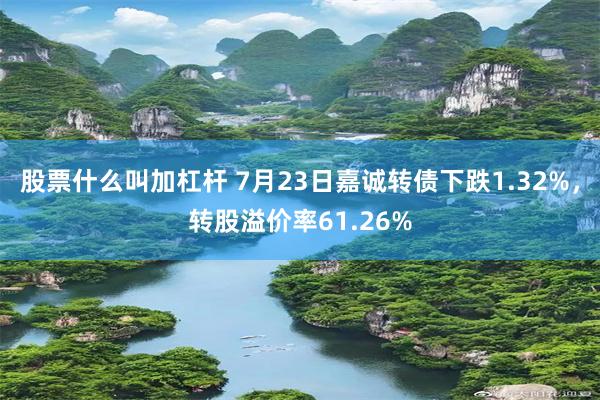 股票什么叫加杠杆 7月23日嘉诚转债下跌1.32%，转股溢价率61.26%