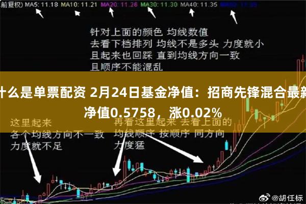 什么是单票配资 2月24日基金净值：招商先锋混合最新净值0.5758，涨0.02%