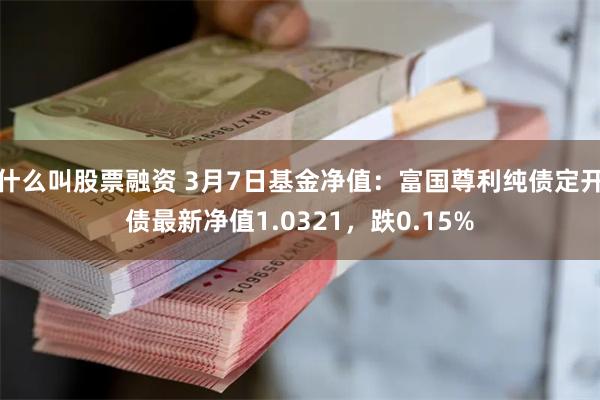 什么叫股票融资 3月7日基金净值：富国尊利纯债定开债最新净值1.0321，跌0.15%