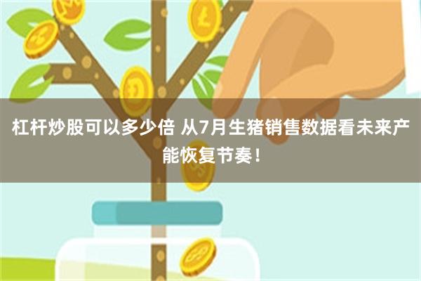 杠杆炒股可以多少倍 从7月生猪销售数据看未来产能恢复节奏！